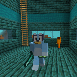 Bluey Biomes!!!