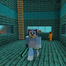 Bluey Biomes!!!