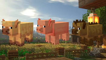 Pigs