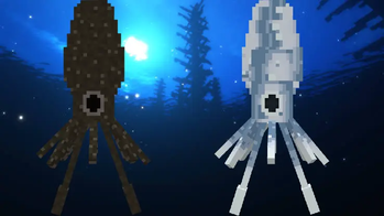 Squids