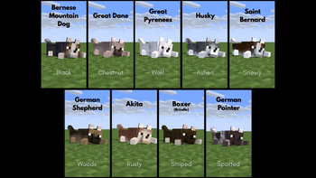 Breeds Showcase