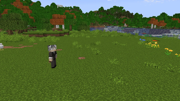 Freecam