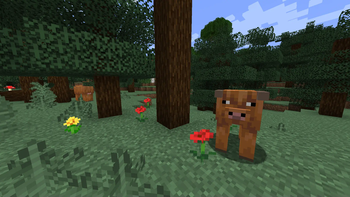 The new cows in the latest snapshot.