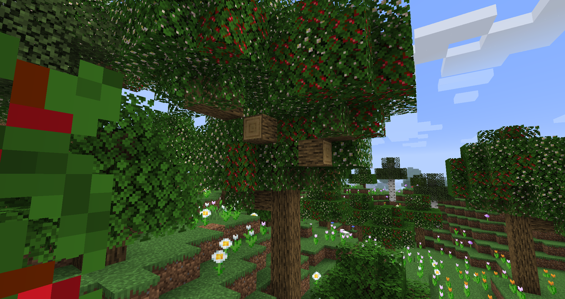 Apples hanging from trees