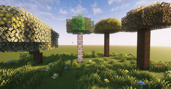 Fruit Trees