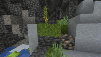 Seamlessly blends in with moss blocks!