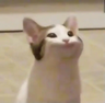 ItzzGG_guy