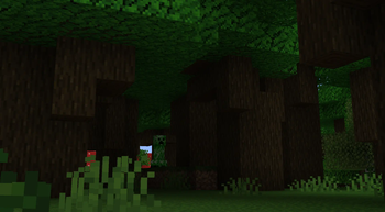 Roofed Forest