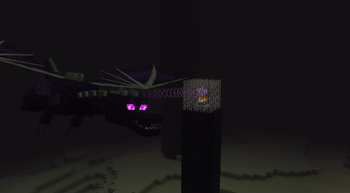 Ender Dragon