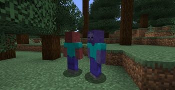 Nether and End zombies