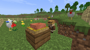Rancher