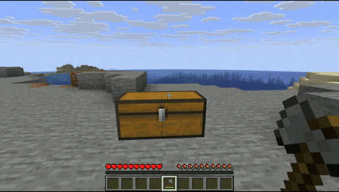 Double Chest