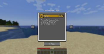 Selection screen