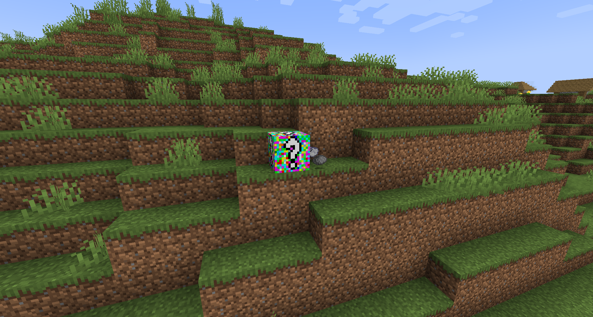 Lucky Color Block in the wild