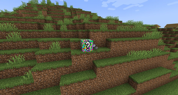 Lucky Color Block in the wild