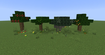 Fruit Trees