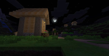Village at night