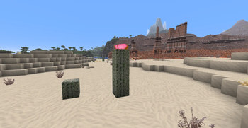 Desert
