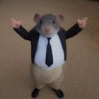 Richard Pack The Squeakuel