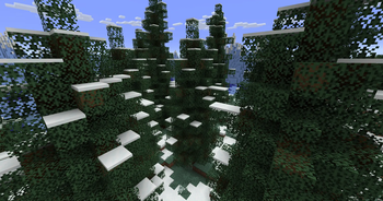 Snowy Taiga