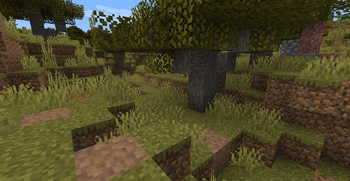 Savanna