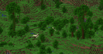 Sparse Jungle