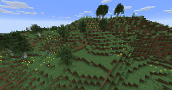 Meadow