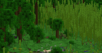 Jungle & Bamboo Jungle