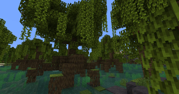 Mangrove Swamp
