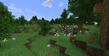 Flower Forest