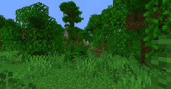Jungle