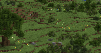 Plains