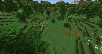 Flower Forest