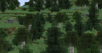 Meadow