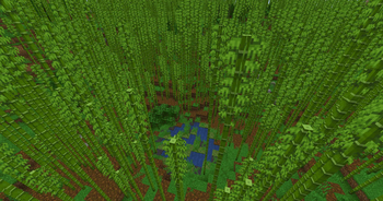 Bamboo Jungle
