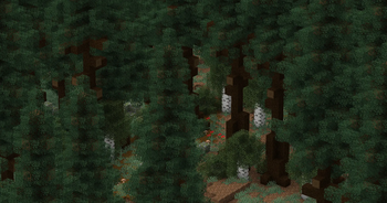Old Growth Pine Taiga