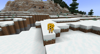 The Dingo v1.0
