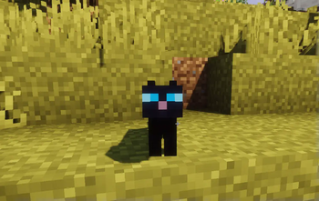 Black cat
