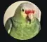 TuxinLOL