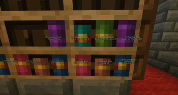 Chiseled Bookshelf Title Display