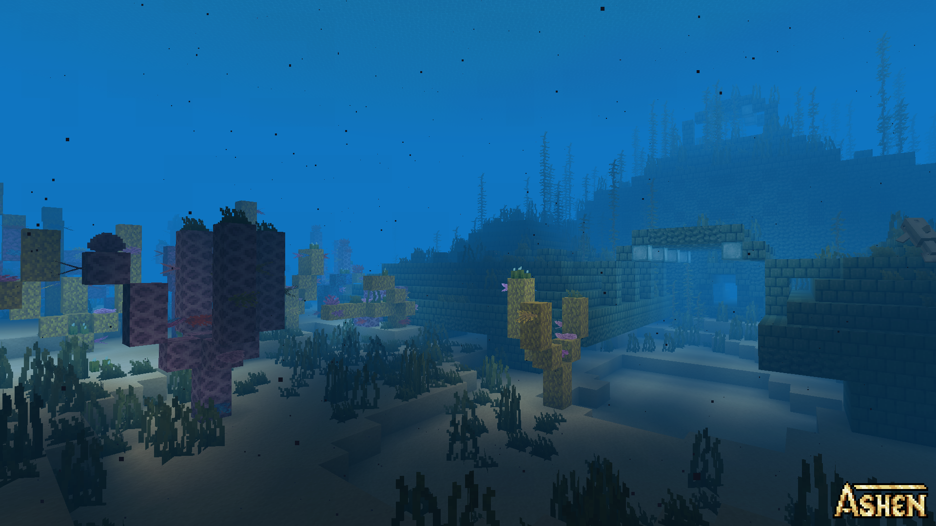 Ashen 16x - 9