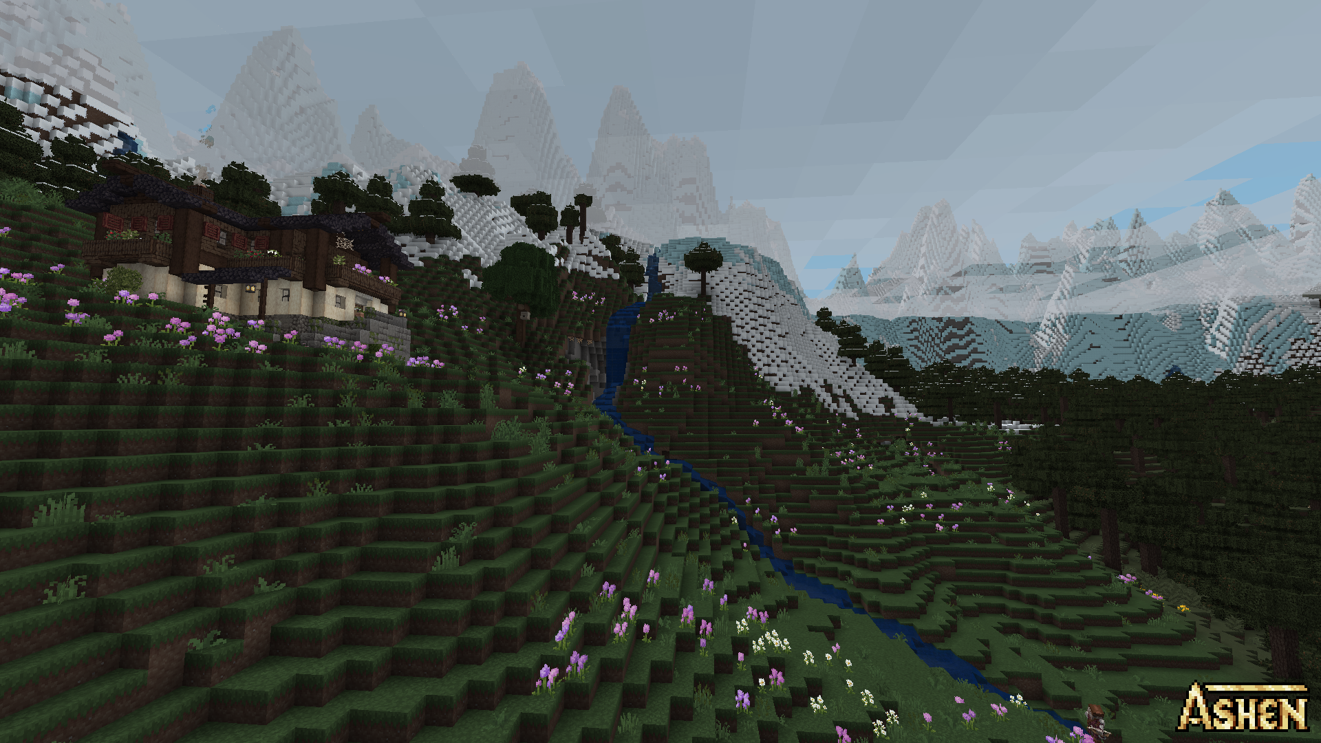 Ashen 16x - 2