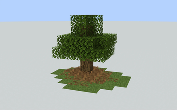 Leaf piles underneath tree