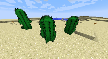 Better Cactus On