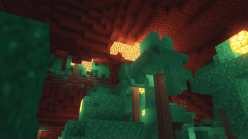 Nether.