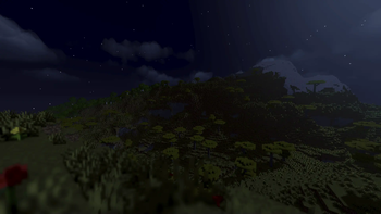 Savana in Night.