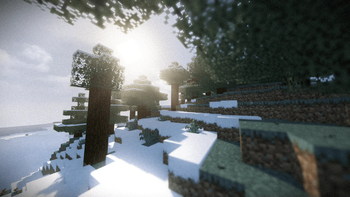 Snowy Forest.