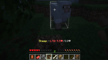 Sheep