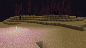 Colorful Biomes