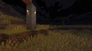 Colorful Biomes